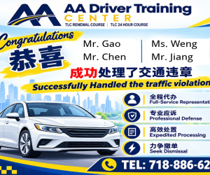【驾驶培训】交通罚单处理服务｜Traffic Ticket Assistance