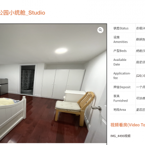 房屋出租 - 纽约市区出租房 | 周六1-5公展