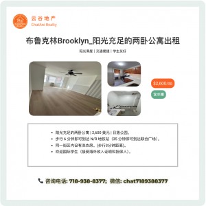 房屋出租 - 纽约布鲁克林阳光充足的两卧公寓出租