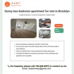 房屋出租 - 纽约布鲁克林阳光充足的两卧公寓出租