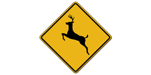 已知鹿横穿马路区域，减速，保持警惕，随时准备停下来。
