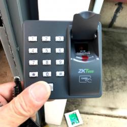 点击查看此图片