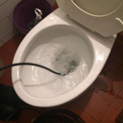 点击查看此图片