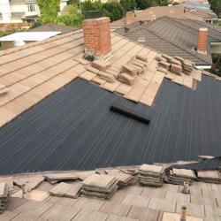 点击查看此图片