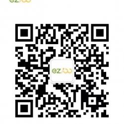 点击查看此图片