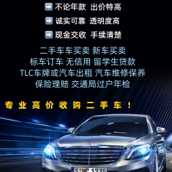 点击查看此图片